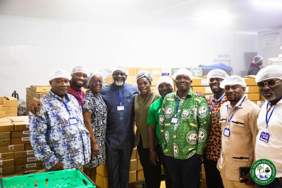 Workers sorting mangoes at a Blue Skies Ghana processing plant