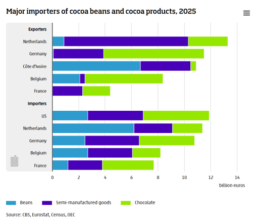 Cocoa pods being harvested in a Ghanaian plantation