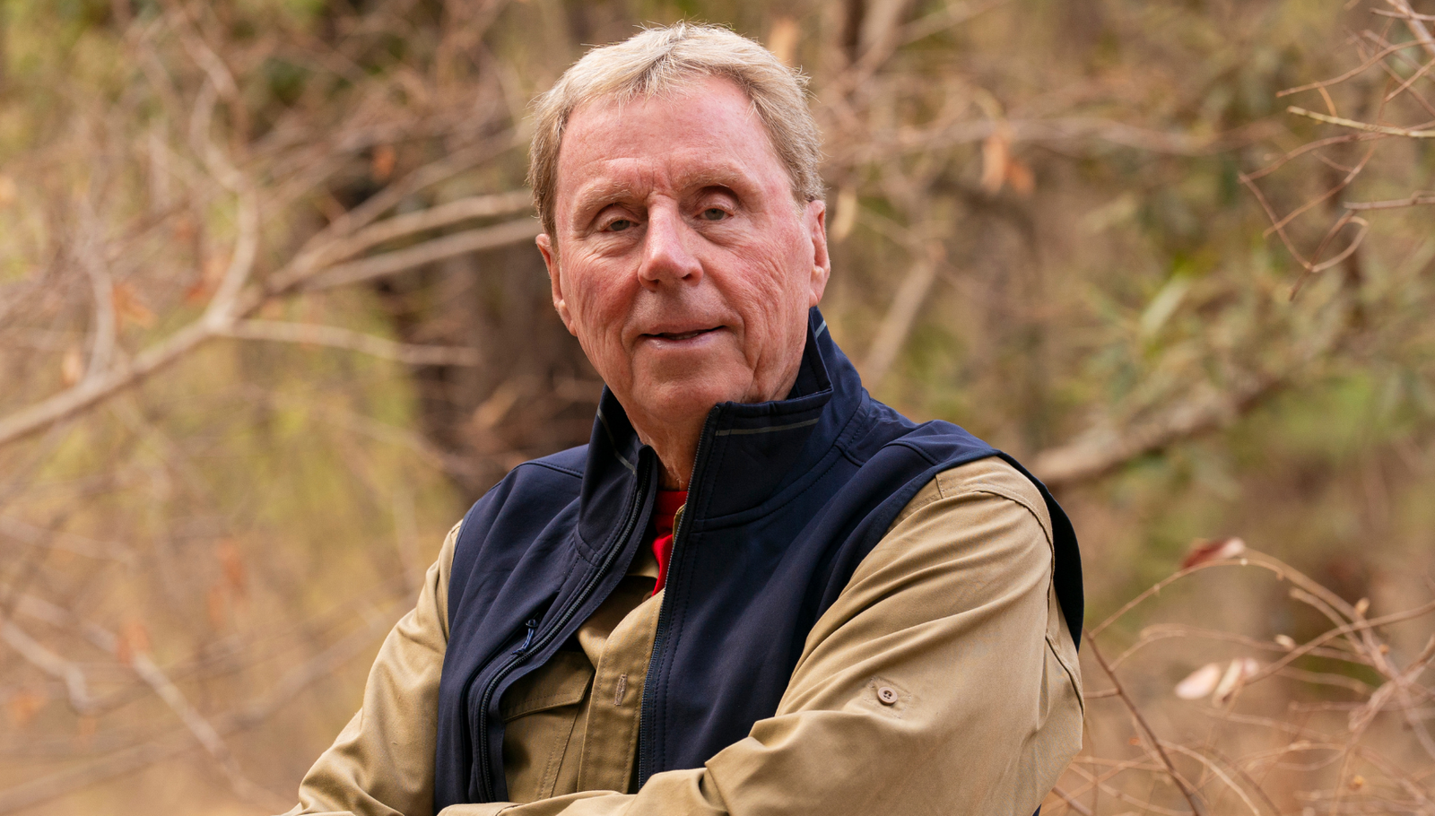 The I'm A Celebrity South Africa logo