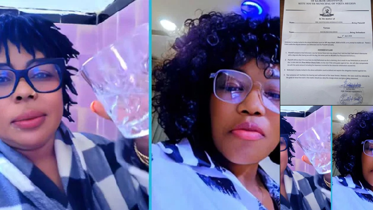 Afia Schwar Takes Mzbel to Shrine Over “Dog’s Wife” Remark