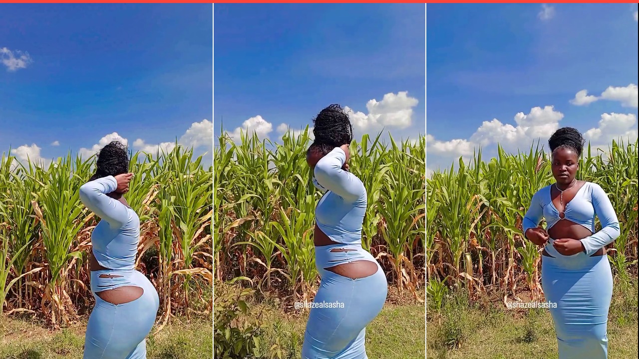 Cornfield Chic: This Bold Blue Look is Everything!
